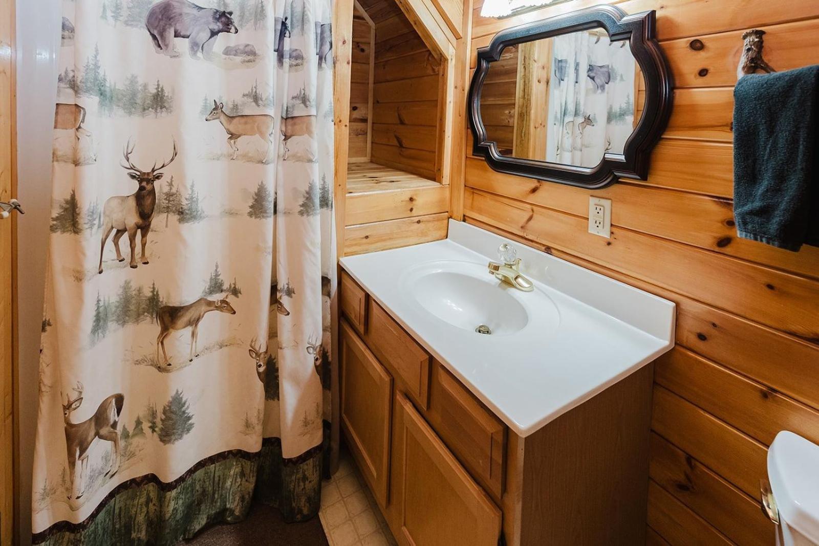 A Dream Come True Cabin Сев'єрвілл Екстер'єр фото