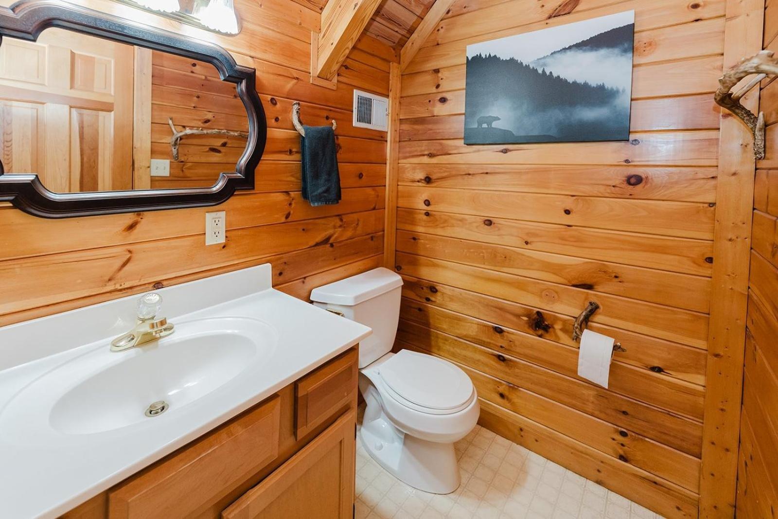A Dream Come True Cabin Сев'єрвілл Екстер'єр фото